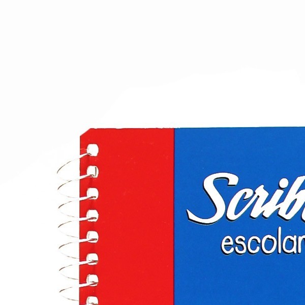 BLOCK DIBUJO CPROT. SCRIBE 4590 10H. 32X24.5CM. C.48